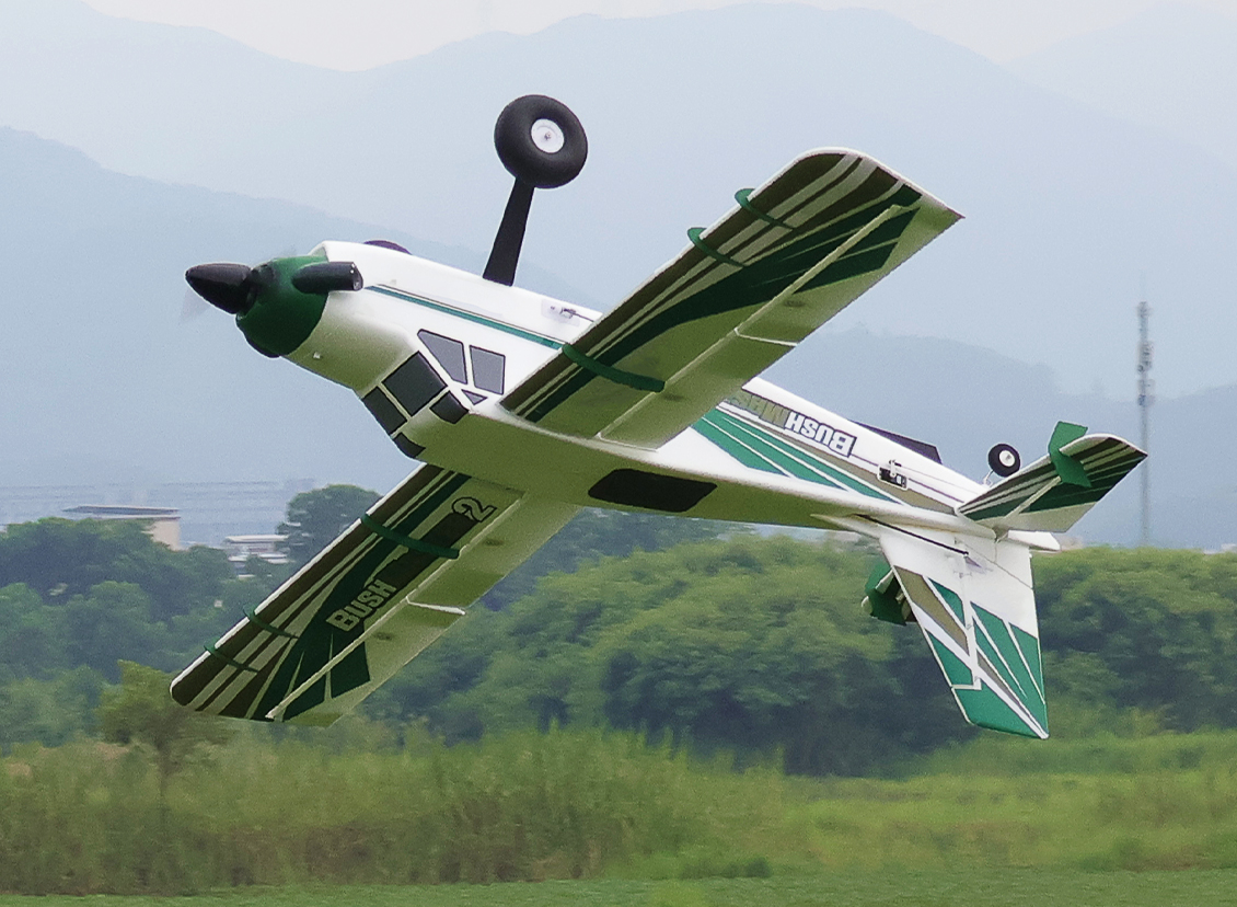 H-KING BushMaster 2 large control surfaces and 3D aerobatics