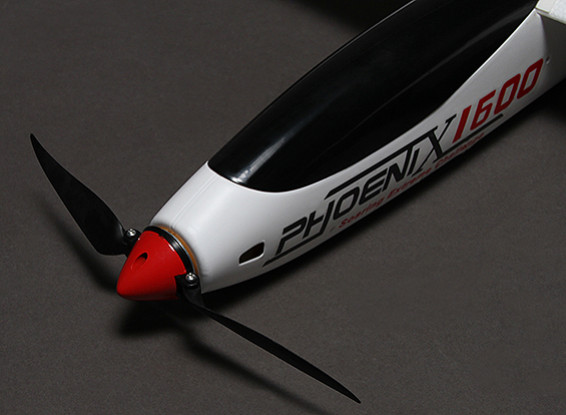 rc phoenix bird