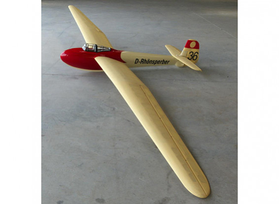 SCRATCH/DENT - AP Models DFS Rhonsperber 3800mm Scale Glider (ARF)