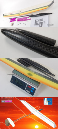 Lanyu Binary ARF DLG CF Comp Glider