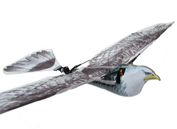 Rc ornithopter 2024
