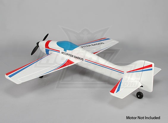 Accipiter badius rc plane hotsell
