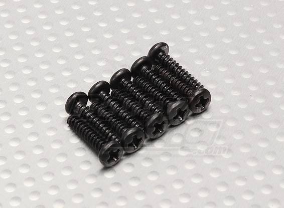 Phillips Head Screw 3x15mm (10st / zak) - A2030, A2032 en A2033