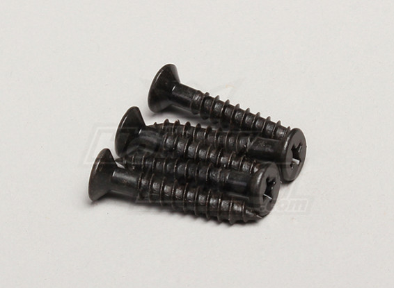 Nutech Flat Head Screw 4.2x25mm (5 stuks / zak) - Turnigy Twister 1/5