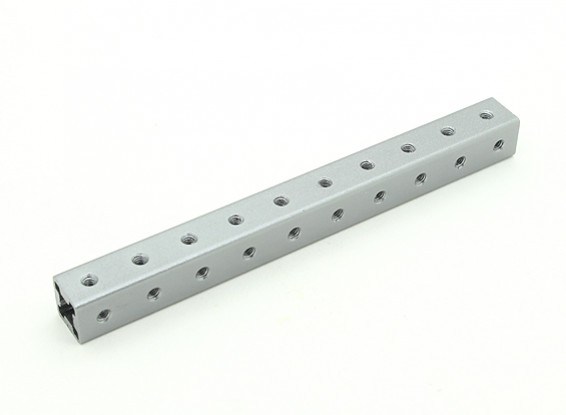 RotorBits Voorgeboorde geanodiseerd aluminium Construction Profiel 100mm (grijs)