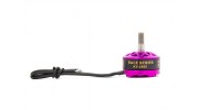DYS Fire FPV Race Edition 2600KV Brushless Outrunner Motor (CWW) with connecting wires