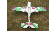 H-King Yak 54 30cc V1 1860mm Purple/White/Green/Silver (ARF) 4