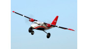 Bushmule cheap rc plane