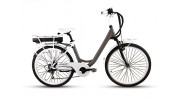 Electric City Bike