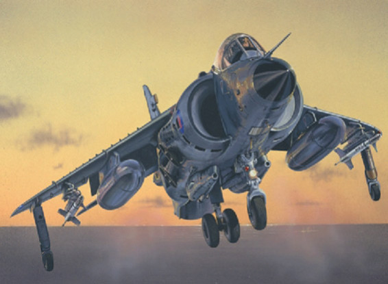 Kit Italeri 1/72 Echelle Sea Harrier FRS.1 Plastic Model