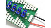 Parallel-Charging-broad-EC5-with-fuse-XT60JST-XH-9992000216-0-2