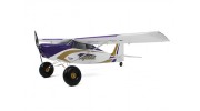 Durafly Color  Tundra 1300mm Anniversary Edition (Purple/Gold) (PnF) - left side