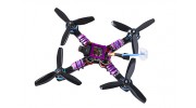 Diatone 2017 GT200S FPV Racing Drone PNF (Violet) View 2