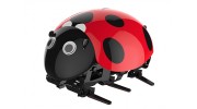 Intelligent Insect Robot DIY Lady Bug Kit (2.4GHz) - LHS