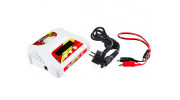 Turnigy P403 LiPoly / LiFe AC/DC Battery Charger (EU Plug) - contents