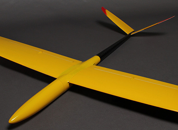 Salangane - Todos os 2.020 milímetros Glider Slope Desempenho Composite / EP (ARF)