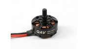 SCRATCH/DENT - QAV RT2204-2300KV Quad Racing Motor (CW)