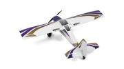 Durafly Color  Tundra 1300mm Anniversary Edition (Purple/Gold) (PnF) - top
