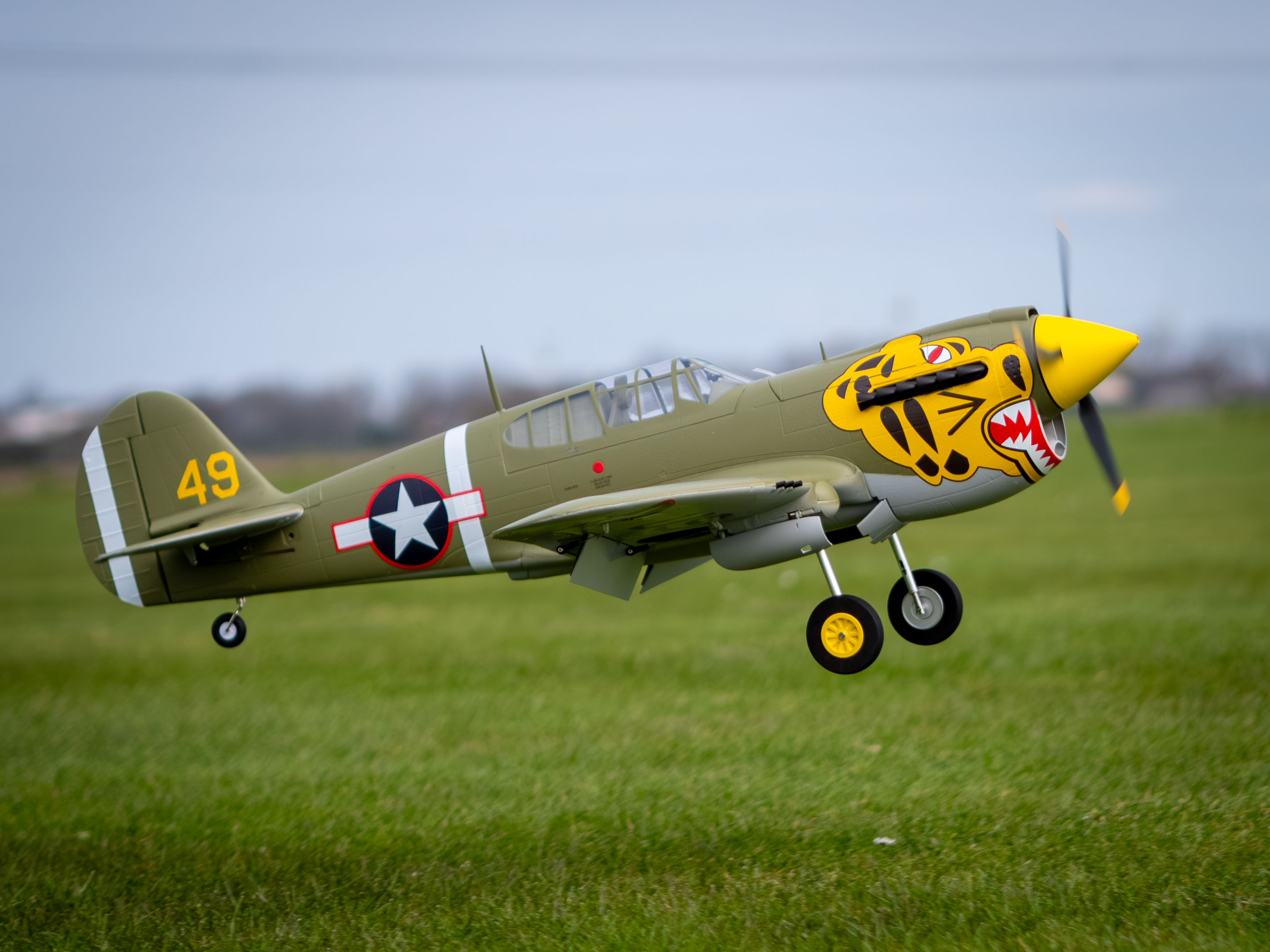 Durafly P-40 Aleutian Tiger 1100mm RC Warbird