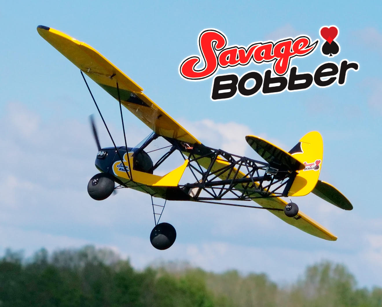 The H-King Savage Bobber: STOL Fun in a Small Package