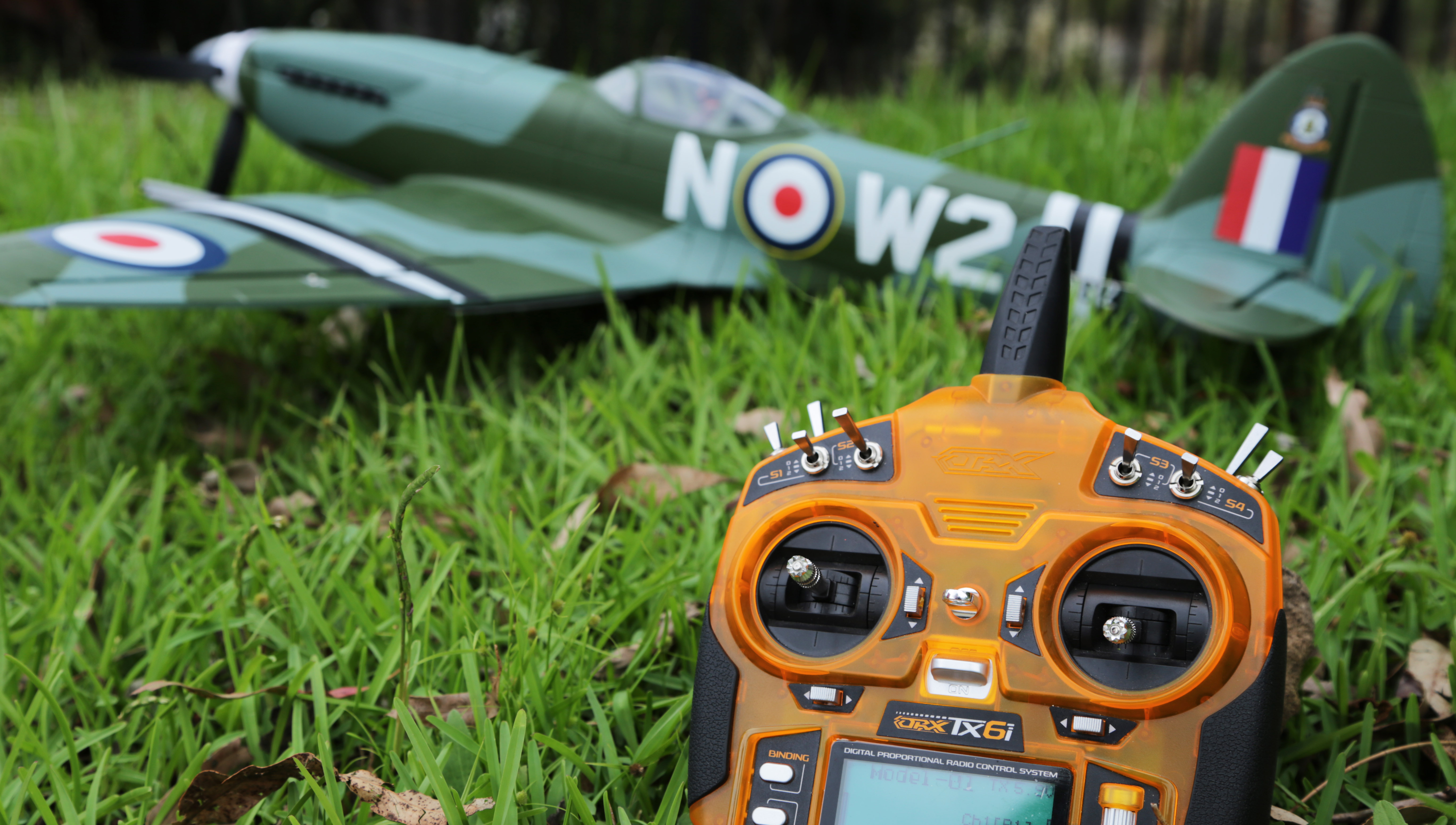Quiz: What Type of RC Hobbyist Are You?